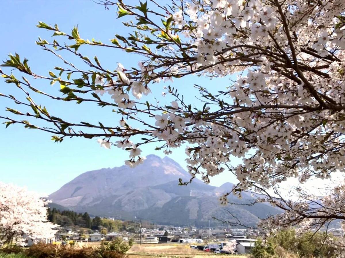 Bed and Breakfast Yufuin Flora House Exterior foto
